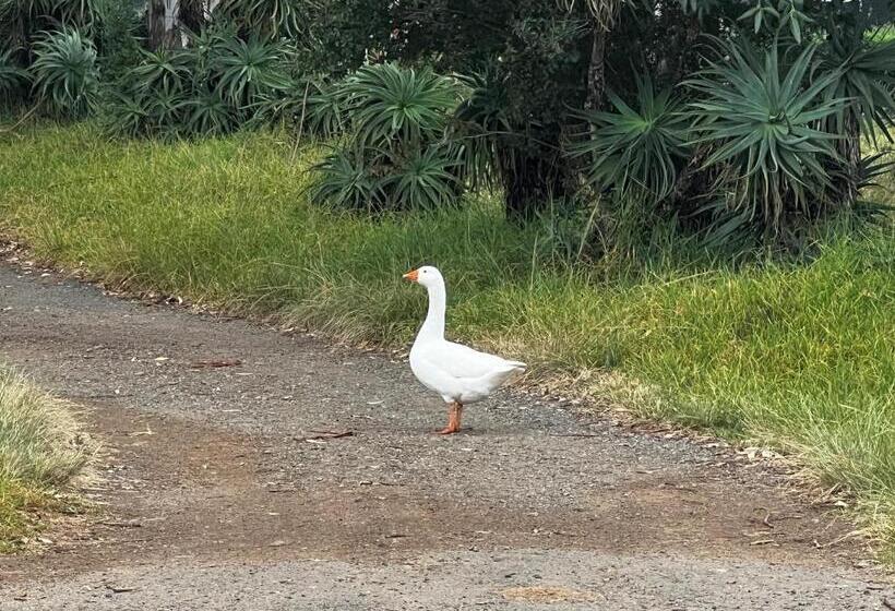 فندق Wyford Farm