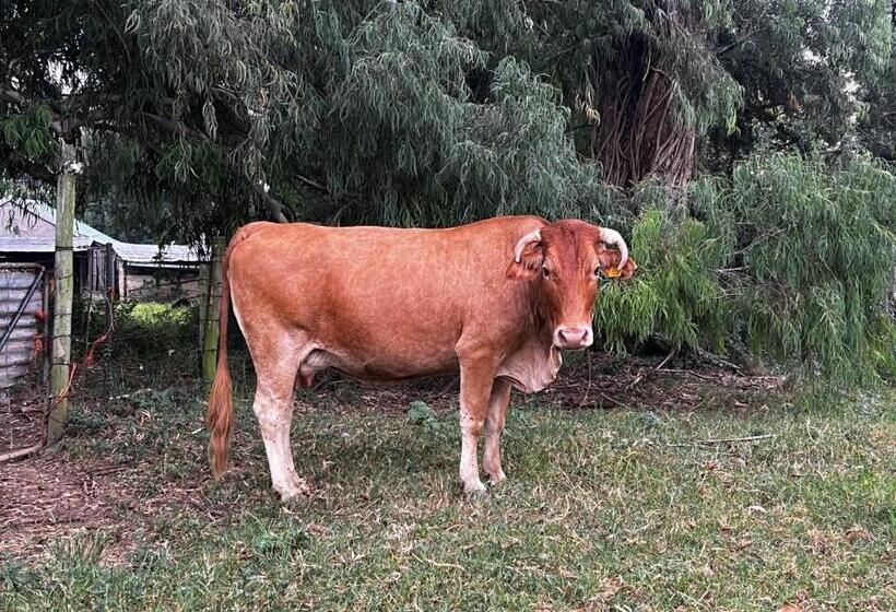 فندق Wyford Farm