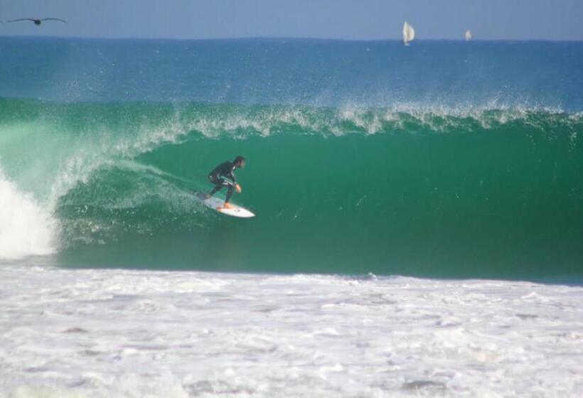 호스텔 La Casona De Lobitos   Cowork