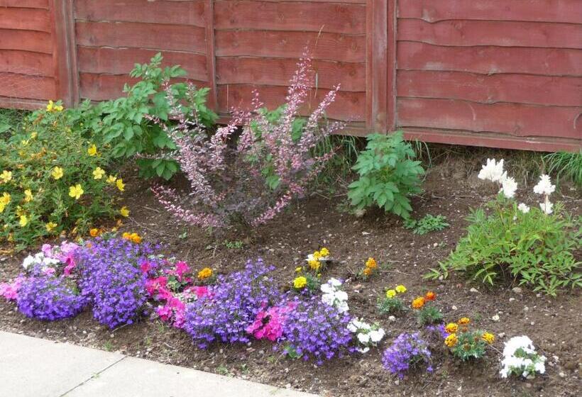 Ordieview Bed & Breakfast