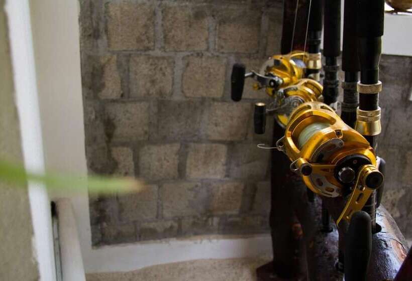 Pension Alvi Star Inn