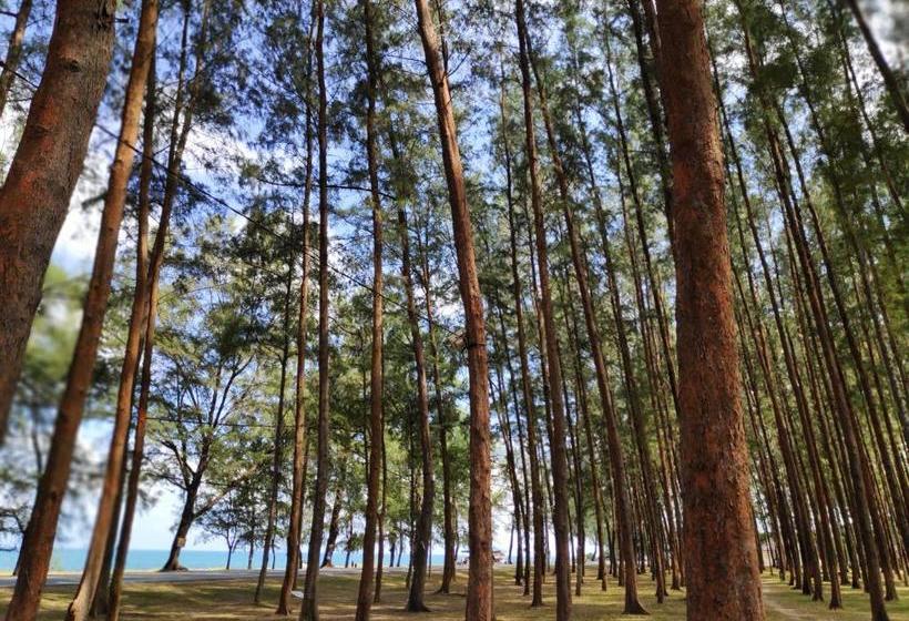 بنسيون Anggun Beach Guest House