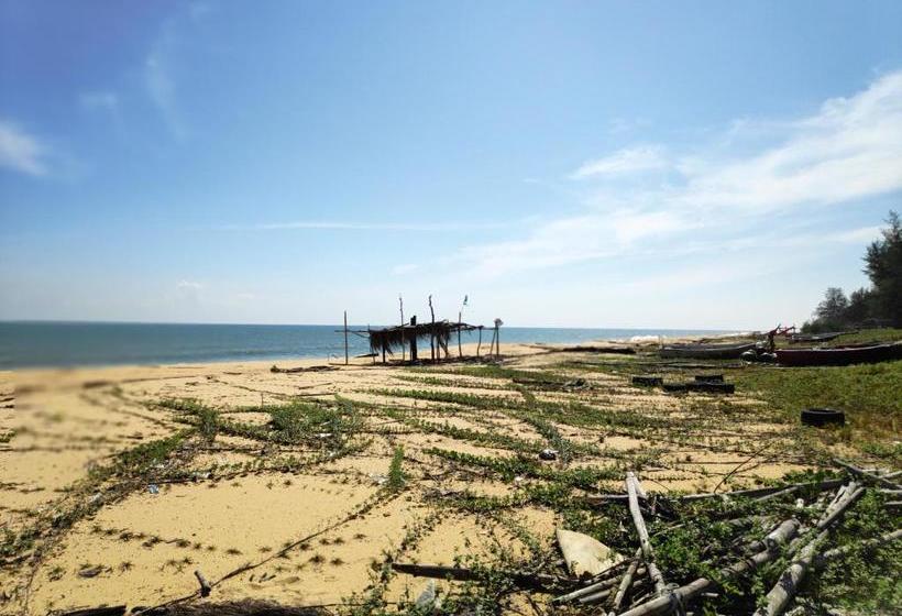 膳宿费 Anggun Beach Guest House