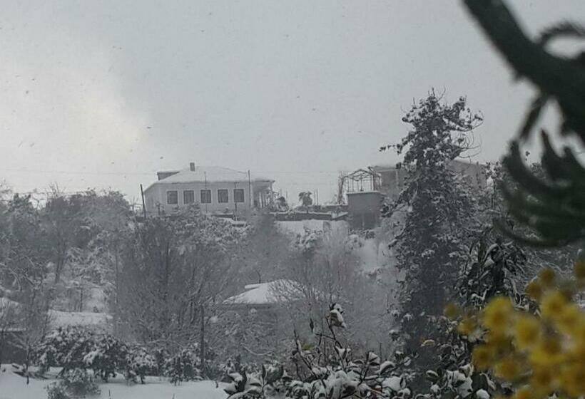 پانسیون Bis A Guesthouse