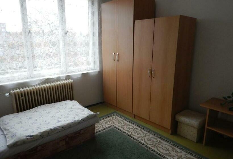 بنسيون Biznis Centrum / Ubytovna