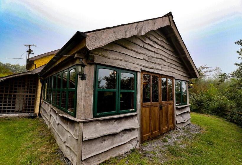 بنسيون Bryngolau