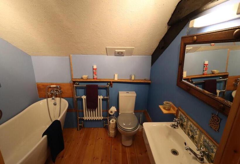 بنسيون Bryngolau