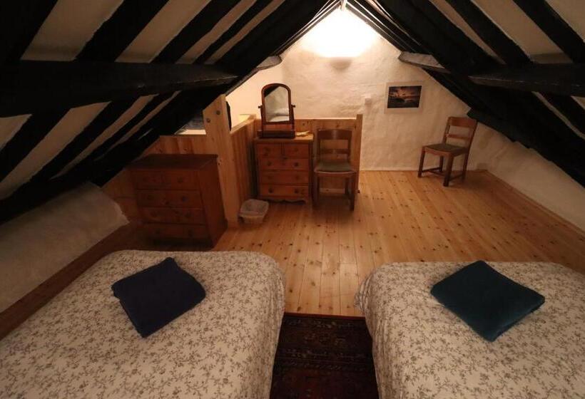 بنسيون Bryngolau