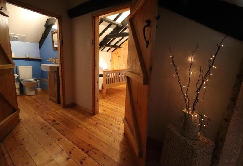 بنسيون Bryngolau