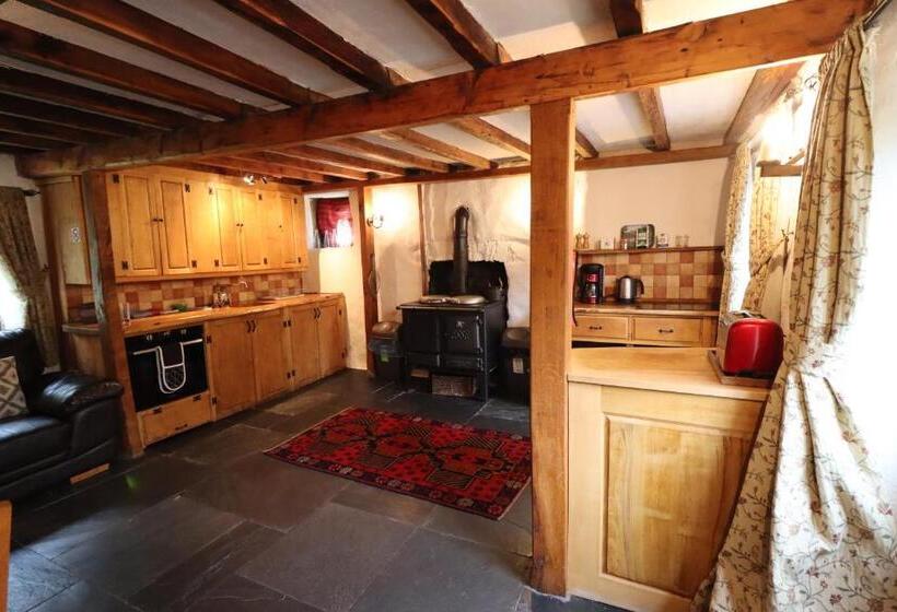 بنسيون Bryngolau