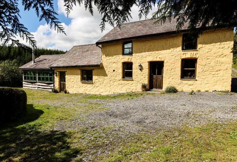 بنسيون Bryngolau