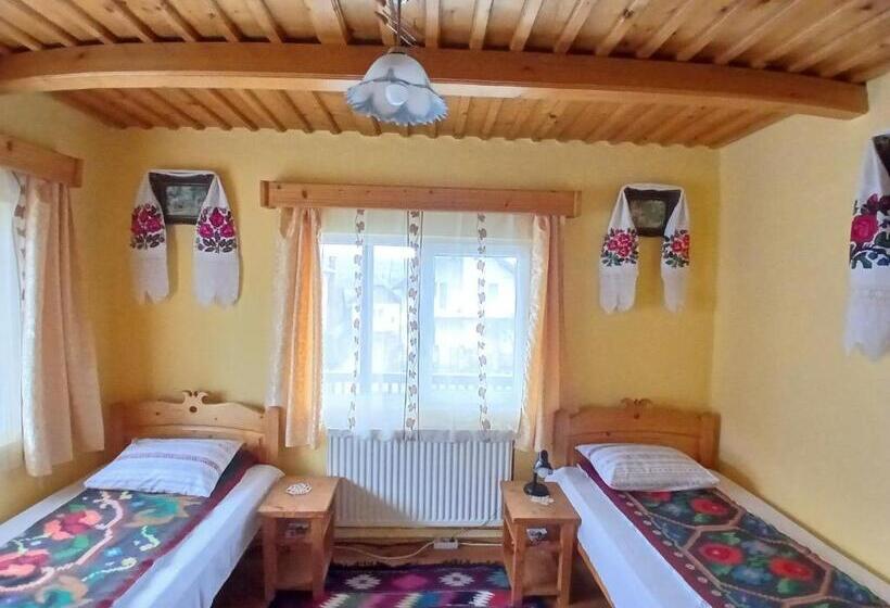 פנסיון Casa Muntean