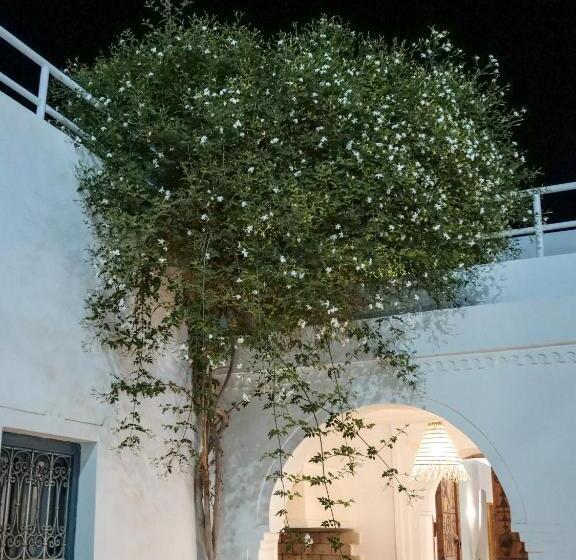 بنسيون Dar Ennour Djerbahood Erriadh