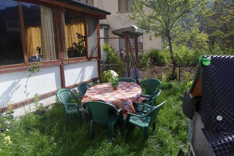 פנסיון Edelvays House