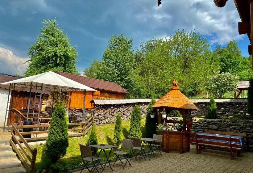 פנסיון Floare De Maramures 1