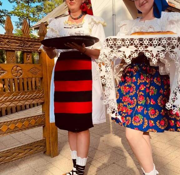 膳宿费 Floare De Maramures 1