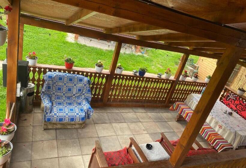 膳宿费 Floare De Maramures 1