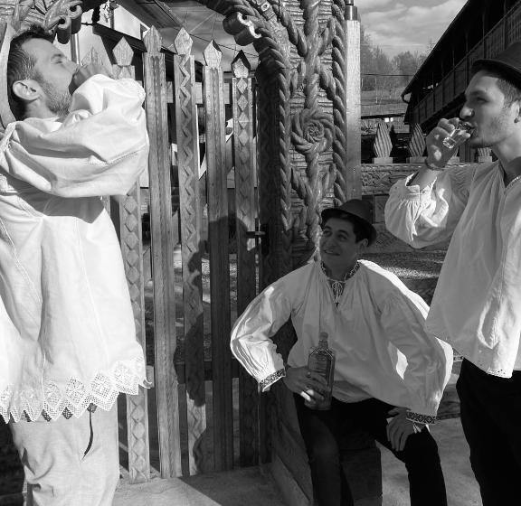 膳宿费 Floare De Maramures 1