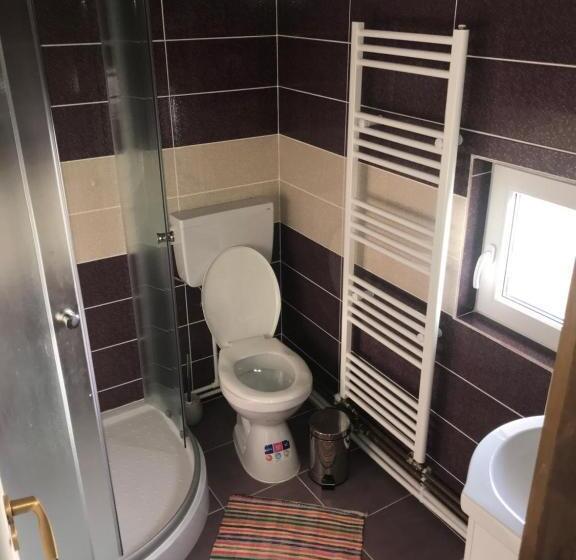 膳宿费 Floare De Maramures 1