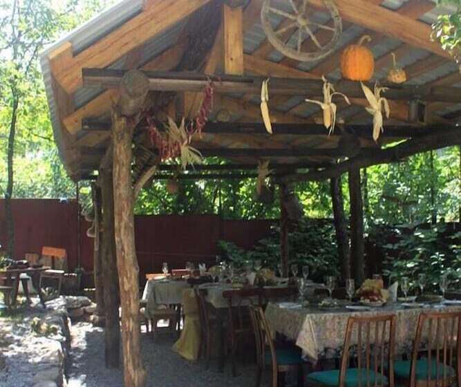 پانسیون Guest House Gallery