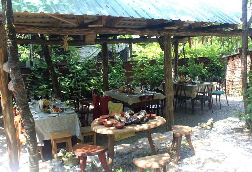 پانسیون Guest House Gallery