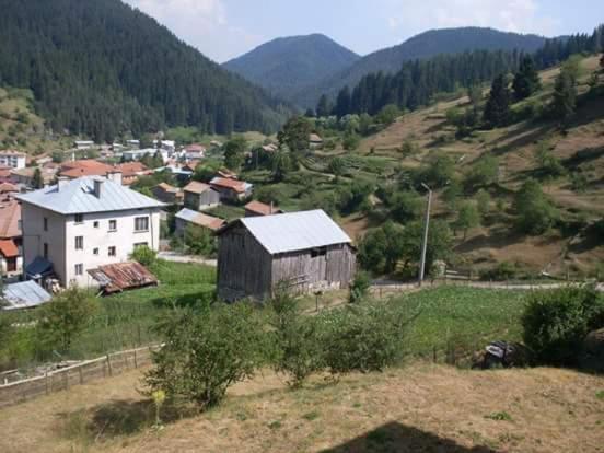 Пансион Guest House Jani