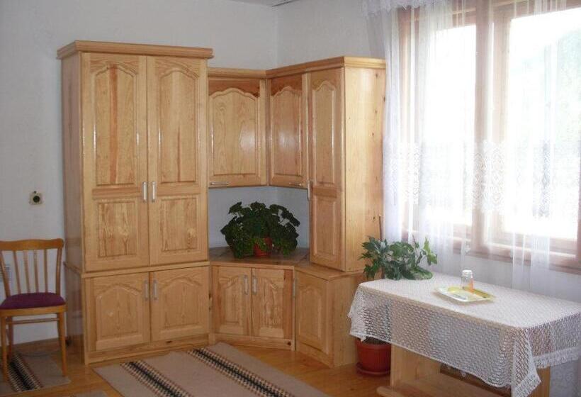 Пансион Guest House Jani