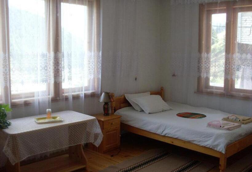 Пансион Guest House Jani