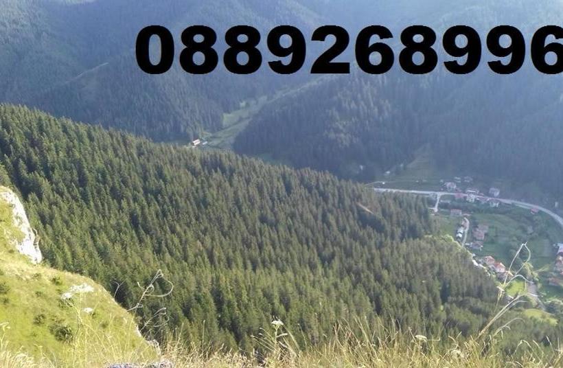 ペンション Kristal Guest House