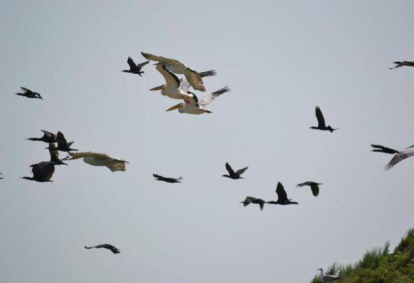 ペンション La Lipoveni