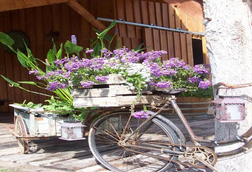 פנסיון La Roulotte De La Vallée Du Lot