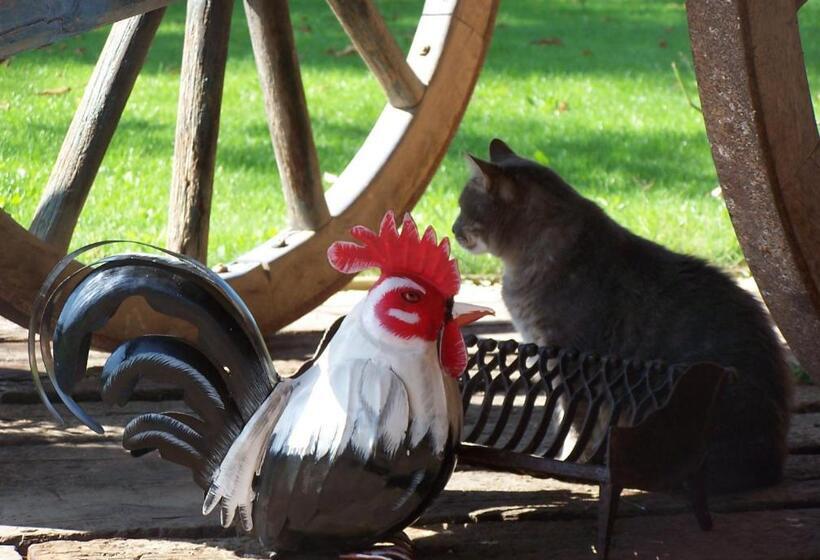 פנסיון La Roulotte De La Vallée Du Lot
