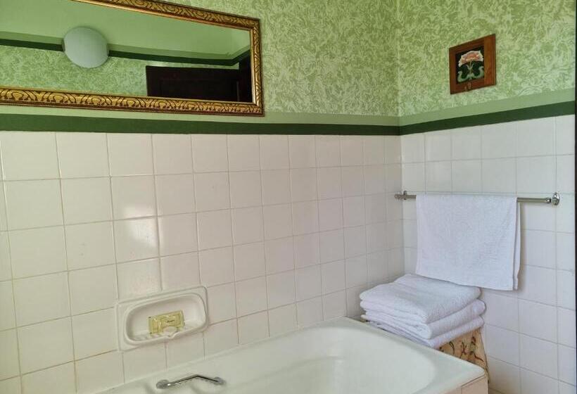 ペンション Mountain View Country Inn