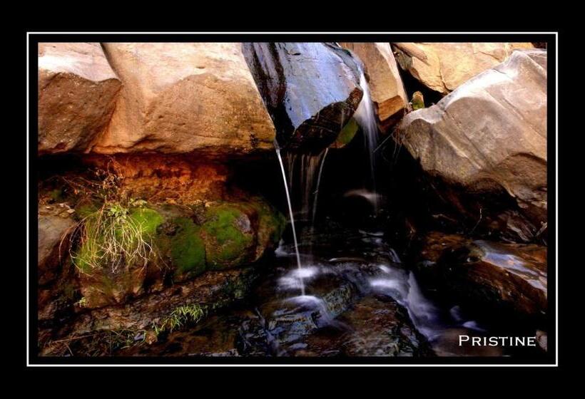 ペンション Mountain View Country Inn