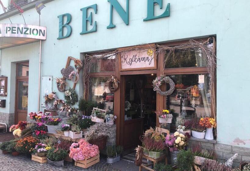 פנסיון Penzion Bene