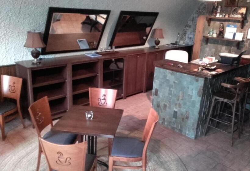 פנסיון Penzion Bene