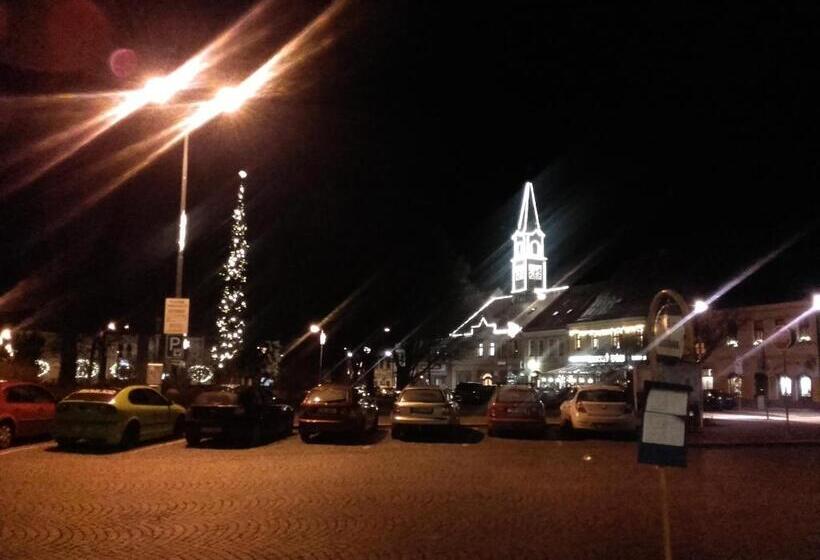 פנסיון Penzion Bene