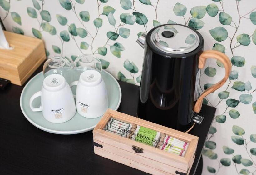 بنسيون Penzion Dubina