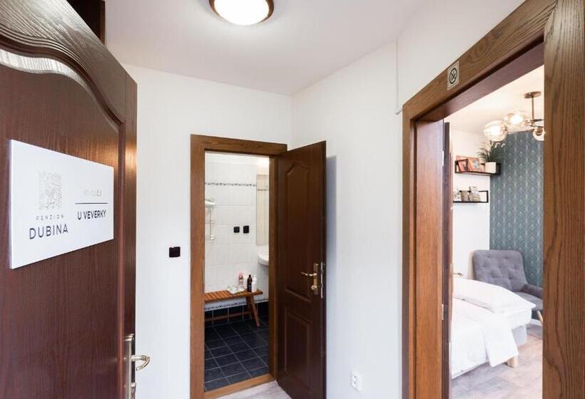 بنسيون Penzion Dubina