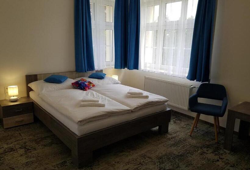 ペンション Penzion Vila Tereza