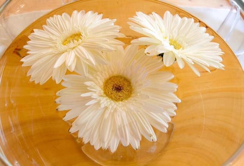 پانسیون Residence Apolonija Guest House