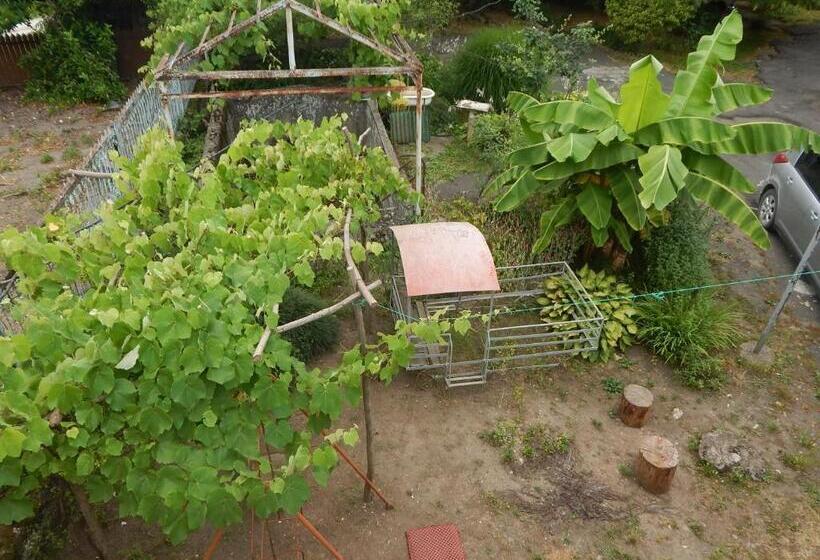 پانسیون Savanna House Jvari