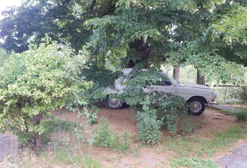 پانسیون Savanna House Jvari