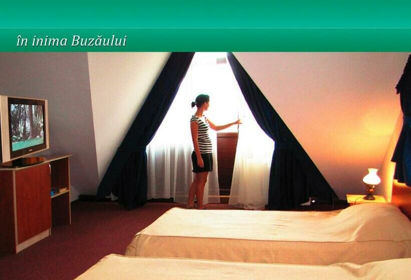 Pensiunea Casa Matei