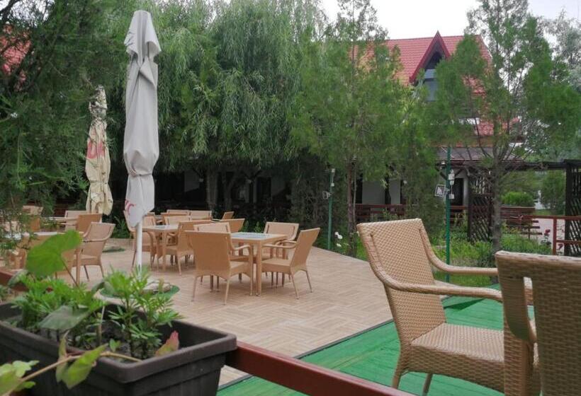 Pensiunea Casa Matei