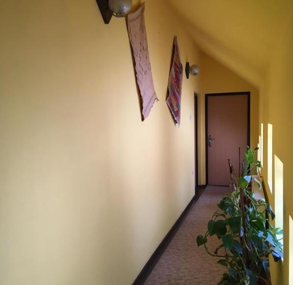 Pensiunea Michael's House