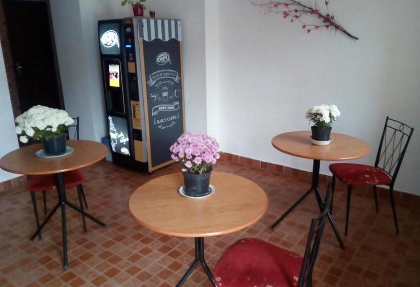 Pensiunea Panorama Elcomex