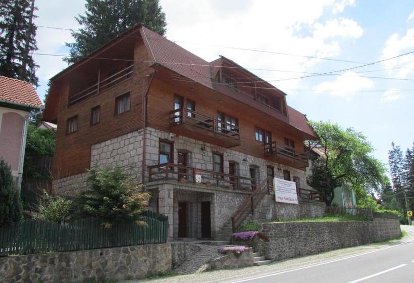 Pensiunea Panorama Elcomex