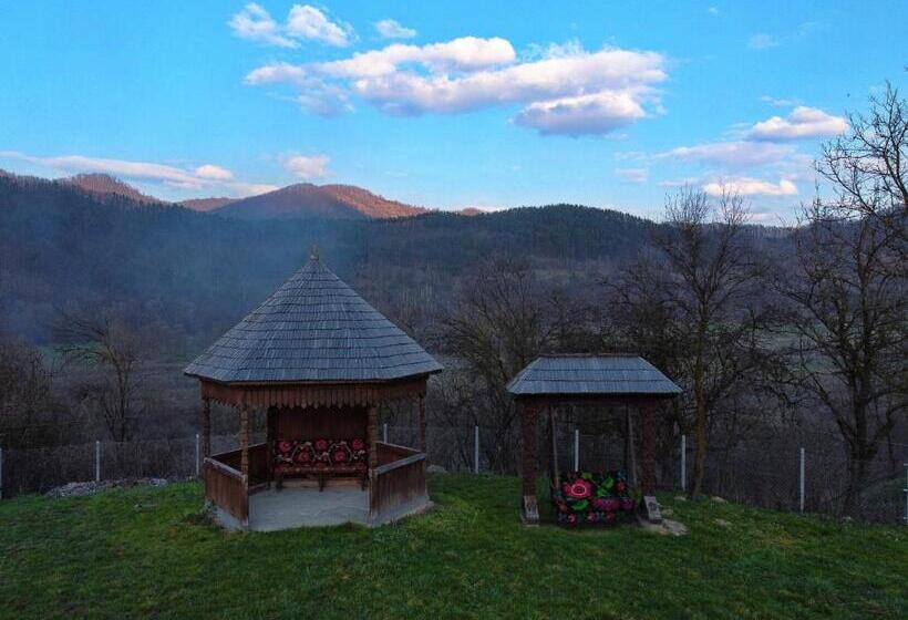 Pensiunea Teodora Teleptean