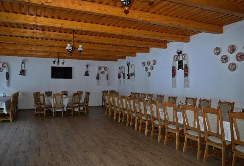 Pensiunea Teodora Teleptean